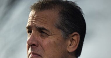 Hunter Biden Claims Not Doing Crack Is a 'Fight for the Future of Democracy'
