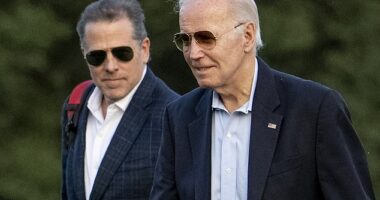 Hunter Biden (left) says he feels a responsibility to remain sober for the sake of his father President Joe Biden's (right) reelection against Donald Trump. 'I have something much bigger than even myself at stake. We are in the middle of a fight for the future of democracy,' he said