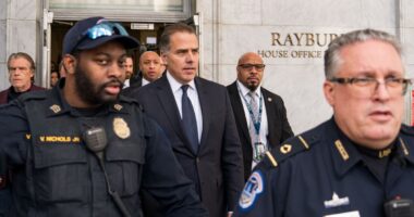Hunter Biden testifies today in Republican impeachment inquiry