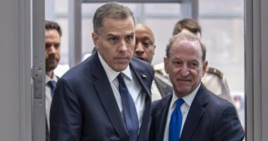 Hunter Biden's Opening Statement at Deposition Assigns Blame for His Troubles