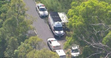 Police were called to a property near Beaudesert in southern central Queensland on Thursday morning. Pictured is the scene