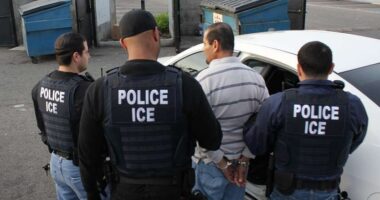 ICE Arrests 171 Illegals Accused of Crimes Including Rape, Child Sex Abuse Over Two Weeks.