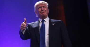 Idea Of Trump Winning Re-Election Gets Record Number Of NATO Members To Meet Spending Pledge