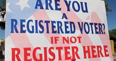 If Dems Love 'Democracy,' Why Do They Attack Election Laws Voters Want?