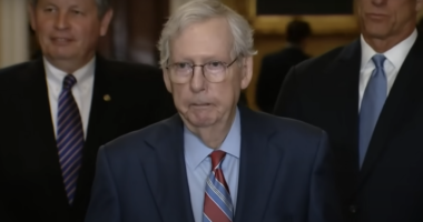 Mitch McConnell freezes