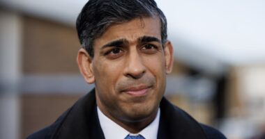 If Rishi Sunak is going to lose, what should he do in the next nine months?