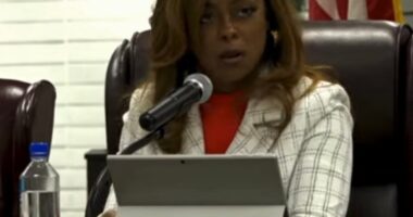 Illinois Mayor Accused Of Shutting Down Local Businesses For Not Donating To Campaign And Misusing Public Funds