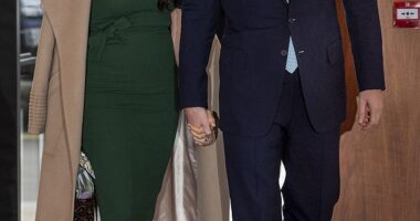 Could Prince Harry return for the royal fold? He is the only royal experienced enough for the job