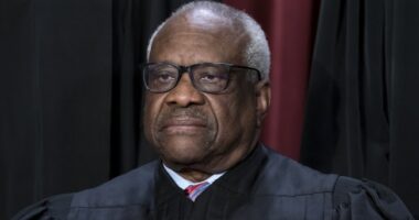 It Sure Looks Like SCOTUS Will Side With Trump in Colorado's 14th Amendment Case – RedState