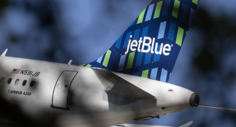 JetBlue stock rallies after Carl Icahn takes nearly 10% stake in airline