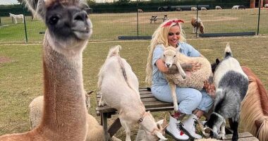 Jodie Marsh has revealed she's 'terrified' to leave her home and is 'scared for her life' amid a bitter dispute with her neighbours, who she claims have 'stalked and harassed' her (pictured on her Essex estate where she runs Fripps Farm animal sanctuary)