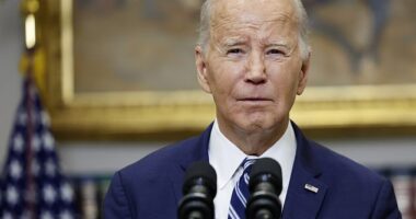 President Joe Biden took a long pause to collect his thoughts before he insulted former President Donald Trump from the Roosevelt Room Friday. Trump said he had told a NATO ally to pay up of he 'would encourage' Russia 'to do whatever the h*** they want'