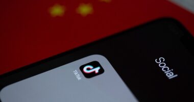 Just 14% of TikTok Users Buck the Algorithm That Tells You What to Think.