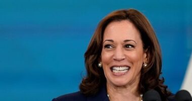 Kamala Harris: Government Will Pay College Students to Register Voters