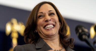 Kamala Harris: “I Am Ready To Serve”