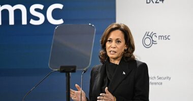 Vice President Kamala Harris reacted to Russian opposition leader Alexei Navalny's death during an appearance Friday at the Munich Security Conference