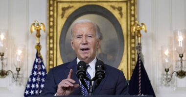 President Joe Biden delivered a furious defense of his mental capabilities in the Diplomatic Reception Room of the White House last week, before undermining his appearance by muddling the presidents of Egypt and Mexico