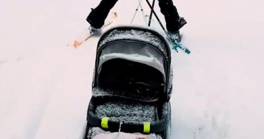 The Princess of Wales' brother, James Middleton, has shared a glimpse of his 'first adventure' with his wife Alizee Thevenet, their son Inigo and two of their dogs