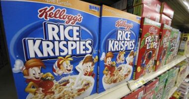Kellogg CEO Solves High Food Costs for Families