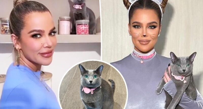 Khloé Kardashian accused of FaceTuning her cat