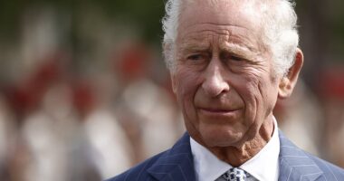King Charles III cancer diagnosis LATEST: Monarch to start treatment immediately as he steps back from public duties and is set to be reunited with Prince Harry just weeks after prostate surgery