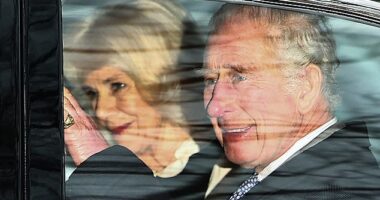 While the King, 75, (pictured earlier this month) has a great knowledge of history, it is his short-term memory that is believed to be troublesome, with Charles alleged to have said that his 'memory is appalling'