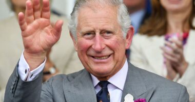 King Charles thanks public for support in first statement since cancer diagnosis