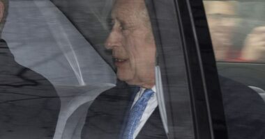 Dressed in a dark overcoat, navy suit and a smart white shirt, Charles could be seen today wearing a tie covered in fluttering Greek flags in an apparent tribute to the former King