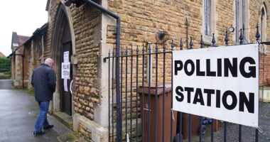 The Tories do not expect to win the Kingswood and Wellingborough (pictured) contests despite them taking place in what should be very safe seats.