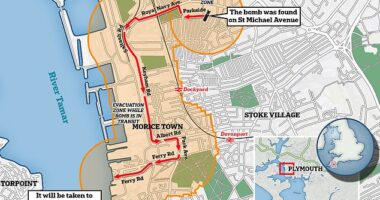 Leave your homes by 2pm: Thousands of Plymouth residents are sent emergency text alert ordering them to evacuate before Army begins nerve-shredding operation to remove unexploded bomb found in family's garden and drop it into the sea