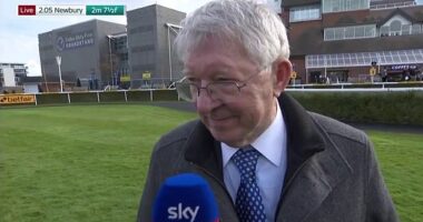 Sir Alex Ferguson has claimed that Tottenham will never win the Premier League title