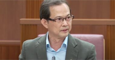 Leong Mun Wai steps down as PSP Sec-Gen over latest POFMA directive, Hazel Poa takes over - Mothership.SG