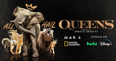 Animals in motion in Queens title key art