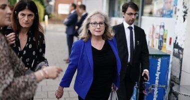 Conservative candidate for Mayor of London, Susan Hall (pictured), has pledged to install 'knife arches' into every school in the capital if she is elected