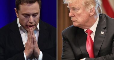 Lonsdale: 'Clearly Weaponization' of DOJ Against Trump, Musk; 'Not How the Country Is Supposed to Work'