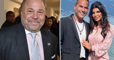 Luis Ruelas, Bo Dietl sued for allegedly hacking computers for 'abuse' of 'RHONJ' star's ex