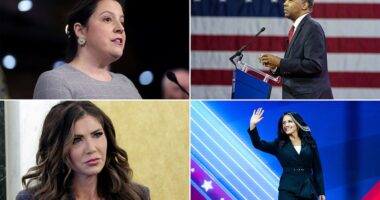 Former President Donald Trump has all but won the Republican presidential nomination for 2024, but he has still not selected a running mate. Conservative activists attending CPAC on Friday shared their thoughts and predictions about who Trump should be his running mate in November. John Paul, 20, from Virginia said he preferred former Rep. Tulsi Gabbard, a former Democrat who left the party.