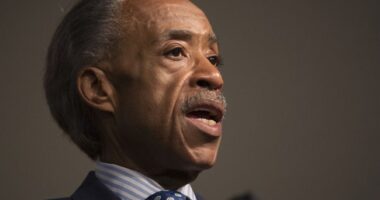MSNBC's Al Sharpton Calls the Border Crisis an 'Invasion of Migrants'