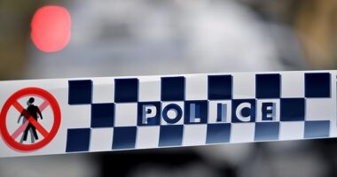 A dead body was found inside a bag in an abandoned Landcruiser near Mackay Harbour on Saturday