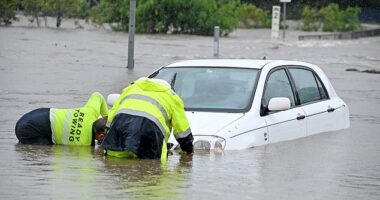 A 28-year-old woman has died after her car was submerged in the flooded Malbon River at Duchess in Queensland's north-west about 1pm on Thursday (pictured, car stuck in Brisbane floods)