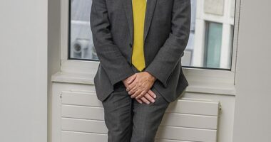 Justice Minister Mike Freer told Rishi Sunak he will step down at the election following a string of threats and incidents, which culminated in an 'arson' attack on his constituency office in December