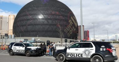 Man Arrested & Charged After Climbing (Video)