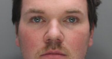 Louey Baldwin, 29 from Orpington, and the rest of his criminal gang went on a criminal spree stealing more than £100,000 worth of bikes over a two-year period. Baldwin pleaded guilty to handling the stolen bikes and was sentenced to two years and nine months in jail at Inner London Crown Court