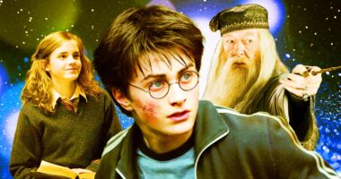 Max's Harry Potter TV Show Has 1 Big Advantage The Movies Never Did
