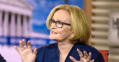 McCaskill: KC Shooting 'Sad Chapter in America's Love Affair' With Military Guns, Majority Wants Change