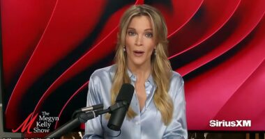 Megyn Kelly hammered recent polling numbers showing Joe Biden trailing Donald Trump by 35 points on handling the border as 'devastating' for the president