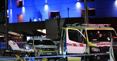 Police have justified shooting a man on Melbourne's Princes Bridge on Friday saying he posed a threat to officers (pictured scene of the incident with emergency crews)