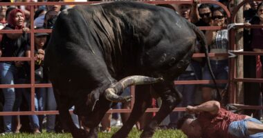 Mexican town continues bull running tradition despite legal struggle over bullfights in capital