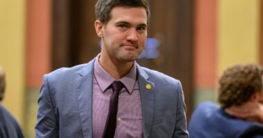 Michigan Republican lawmaker doubles down on pushing ‘great replacement theory’
