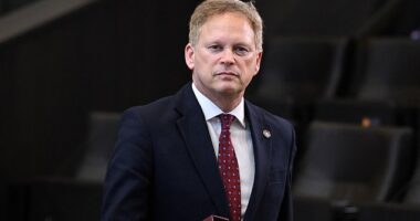 As the dangers Britain faces were yesterday underlined by a chilling threat of a Russian nuclear attack on London, the Defence Secretary faced allegations that he was distracted by his leadership ambitions. Pictured: Secretary of State for Defence Grant Shapps
